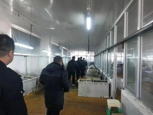 马厂镇工作简报（2020年11月30日-12月5日）—— 规范旧机动车交易业务，激发市场活力